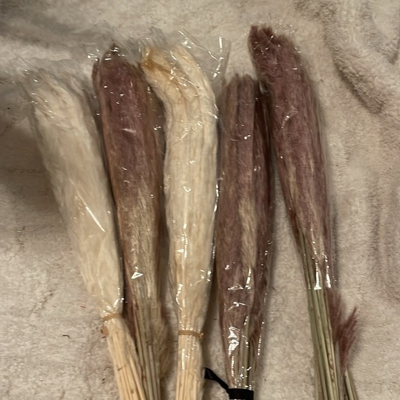 Pampas Big lot of flowers pampas - Picture 4 of 4